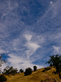 <B>Glorious</B> <BR><FONT SIZE=2>Knights Ferry, California - May 2008</FONT>