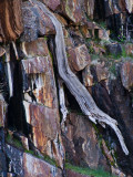 <B>Craggy</B> <BR><FONT SIZE=2>Fallen Leaf Lake, Lake Tahoe, California - May 2008</FONT>