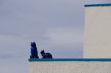 <B>Watchers</B> <BR><FONT SIZE=2>Stykkisholmur, Iceland - July 2009</FONT>