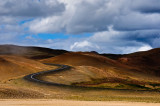 <B>Barren Richness</B> <BR><FONT SIZE=2>Northern Iceland - July 2009</FONT>