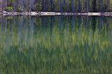 <B>Reflected Forest</B> <BR><FONT SIZE=2>Idaho - May, 2010</FONT>