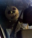 Seat Belted Skeleton