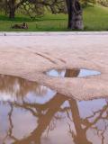 Broken Reflection
