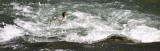 <B>Riding the Rapids</B> <BR><FONT SIZE=2>Trinity River, August, 2007</FONT>