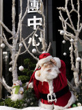 <B>Tropical Christmas</B> <BR><FONT SIZE=2>Ho Chi Min City, January 2008</FONT>
