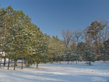 Snowy open field