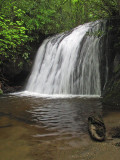 Frolictown Creek Falls