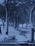 Snowfall in Parkdale Park