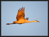 Flight School Photography