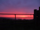 sunrise through a gate