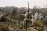 Along the lane