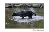 I wonder if I can soak dad from here?