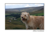 more windswept