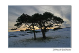 cold morning
