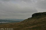 Goldsborough
