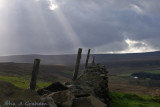 on moors and windy hills