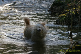 not getting any drier