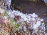 20050802 003a.jpg