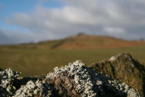 wall