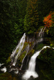Panther Creek Falls, Autumn Study #1