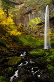 Elowah Falls, Autumn Study #6
