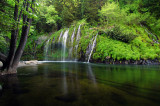 Mossbrae Falls, Study 4