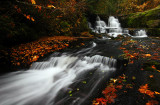 Alsea Falls, Autumn Study #2