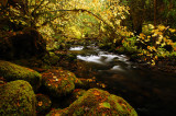 Falls Creek, Autumn Study #2