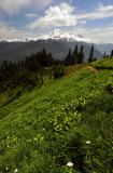 Church Mountain Trail, Upper Study 5