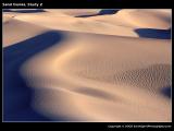Sand Dunes, Study #2