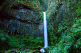 Dry Creek Falls, spring study #1