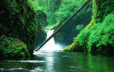 Punch Bowl Falls #1
