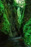 Oneonta Gorge #4