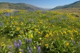 Facing East from Rowena #2