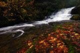 Alsea Falls, Autumn Study #1