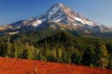 Mount Hood from Red Hill, #2