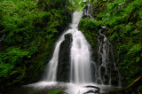 Munra Creek Waterfall #1, Study 1