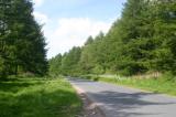 North Yorkshire