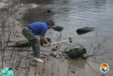 Will Evans breaks Silicified Suwannee Limestone.jpg