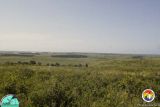 Sugarloaf Mt looking toward Lake Apopka.jpg