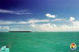 Florida Bay whitecaps.jpg