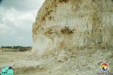 Chert in Suwannee Ls Vulcan Hernando Co.jpg