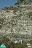 Fla-Mining-&-Materials-Pit Eocene-Oligocene.jpg