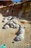 Sand flows from Citronelle Fm Eglin AFB.jpg