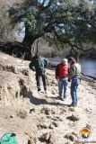 Santa Fe River Exposure of FW Marl.jpg