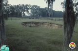 Ocala Horse Farm 2.jpg