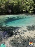 springs