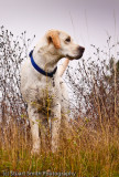 Berti stands atop a high bank along the river -2255