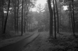 Foggy Evening at Ishnala Trail Bridge, Mirror Lake State Pk. WI