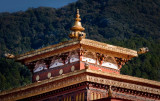 Punakha Dzong Detail